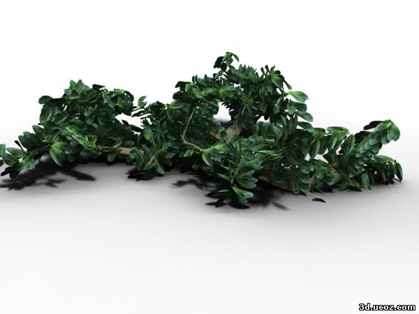 TreeGen 3dsmax